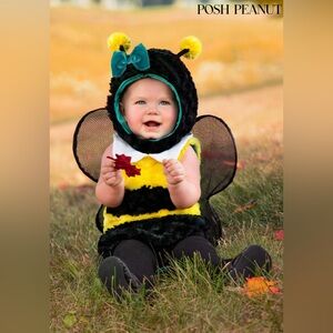 5/$30 Posh Peanut Bee Costume